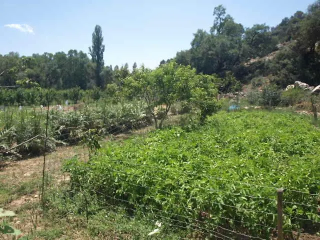 Casa rural Cortijo Lo Moral Hostal Santo Tomé España